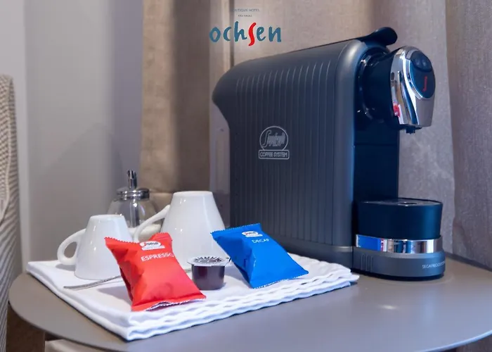 Boutique Ochsen Self-check-in فندق